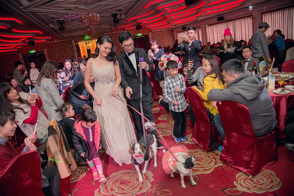 婚禮 忠憲+鸝萱 台中長榮酒店 台中長榮酒店,台中長榮桂冠,長榮婚宴,台中婚攝,婚禮記錄,婚攝wedding