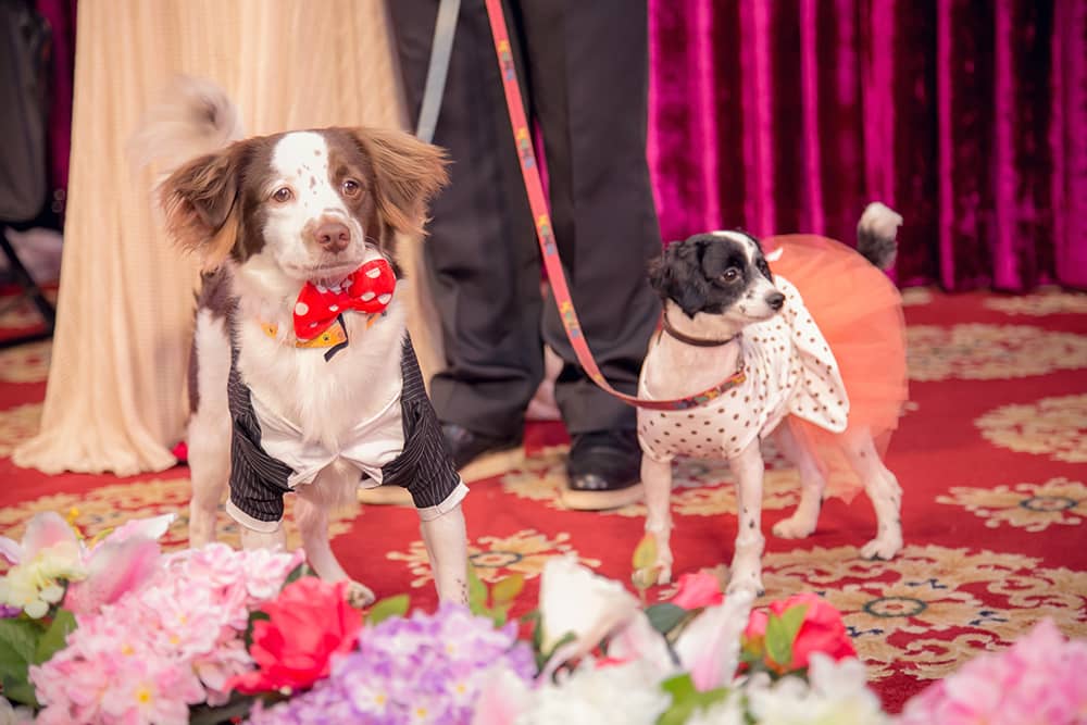 婚禮 忠憲+鸝萱 台中長榮酒店 台中長榮酒店,台中長榮桂冠,長榮婚宴,台中婚攝,婚禮記錄,婚攝wedding