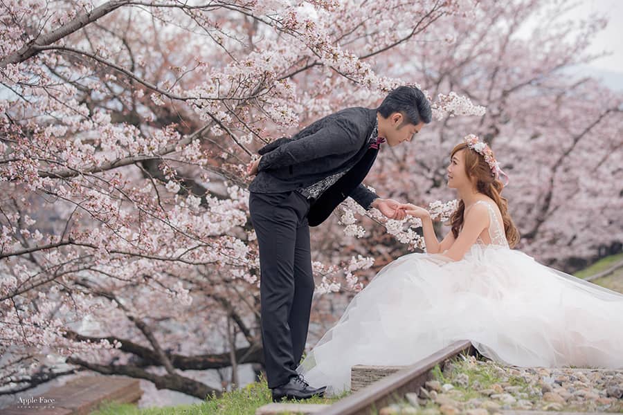 京都婚紗景點,京都自助婚紗,京都櫻花,京都櫻花婚紗,京都婚紗攝影,櫻花婚紗,海外婚紗,日本拍婚紗,奈良婚紗,日本自助婚紗,櫻花季婚紗