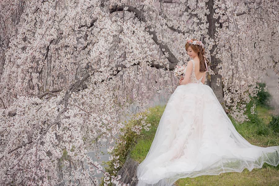 京都婚紗景點,京都自助婚紗,京都櫻花,京都櫻花婚紗,京都婚紗攝影,櫻花婚紗,海外婚紗,日本拍婚紗,奈良婚紗,日本自助婚紗,櫻花季婚紗
