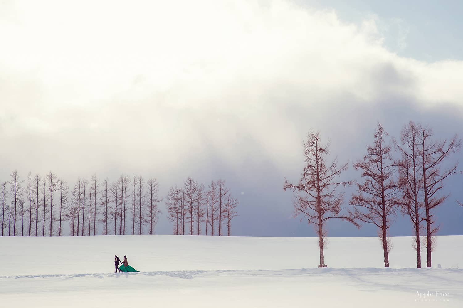 北海道婚紗,小樽婚紗,雪地婚紗,雪之美術館,北海道大學,日本海外婚紗,北海道雪景